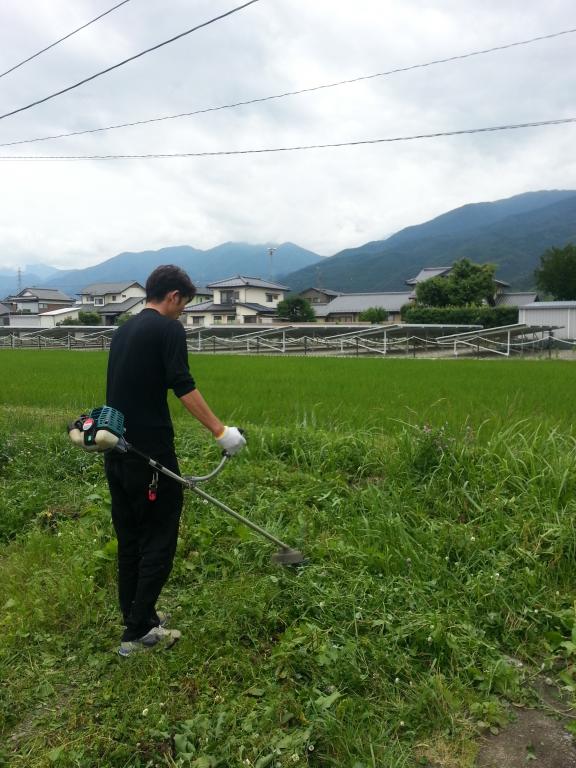 今年もやってきた ～緑豊かなこの季節～