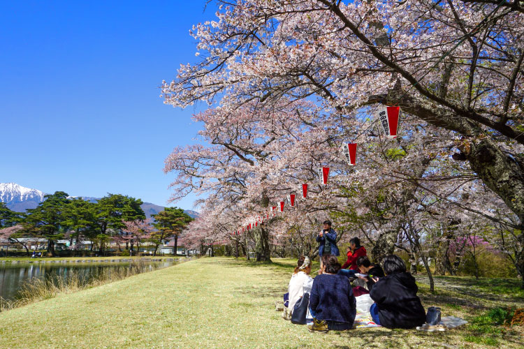 馬見塚公園と花桃の里でお花見