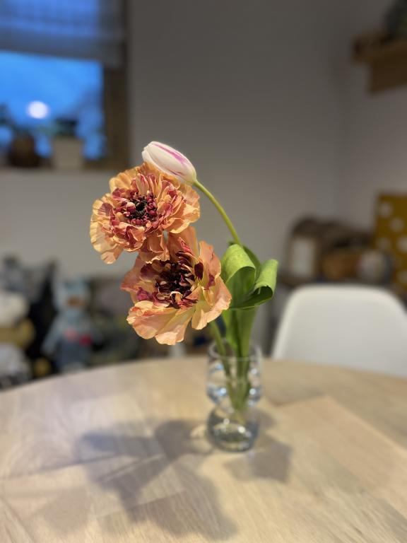 お花の効果