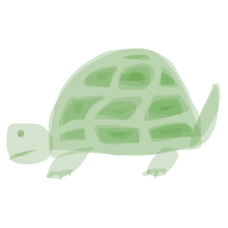 カメノテ